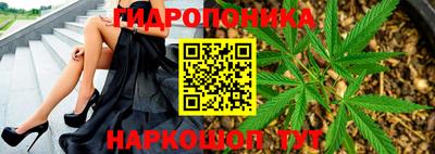 шишки Ливны